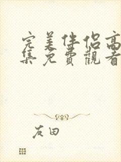 完美伴侣高清全集免费观看封面