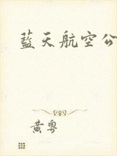 蓝天航空公司封面