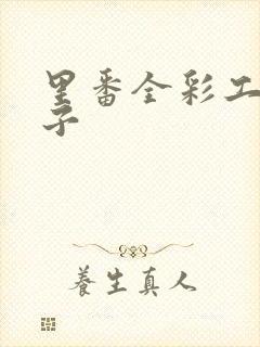 里番全彩工口本子封面