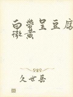 白带呈豆腐渣状微黄