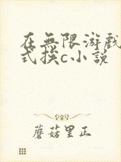 在无限游戏里花式挨c小说封面