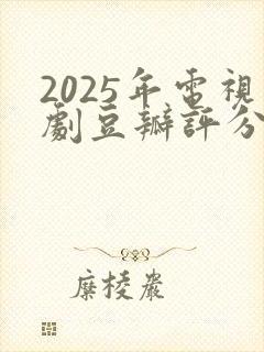 2025年电视剧豆瓣评分排行