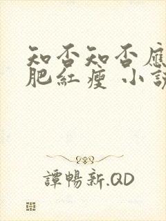 知否知否应是绿肥红瘦 小说番外