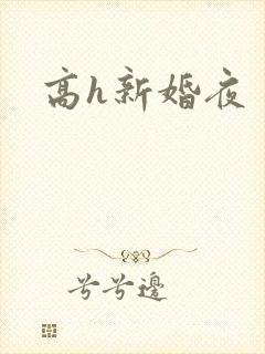 高h新婚夜