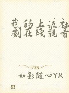 我的上流社会韩剧在线观看