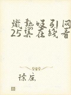 炽热吸引网剧第25集在线看