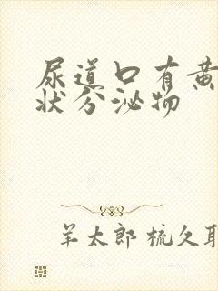 尿道口有黄色脓状分泌物封面