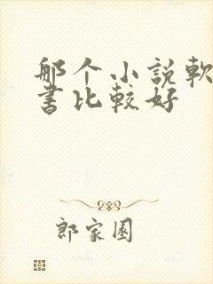 那个小说软件听书比较好