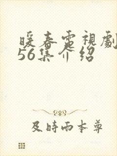 暖春电视剧全集56集介绍