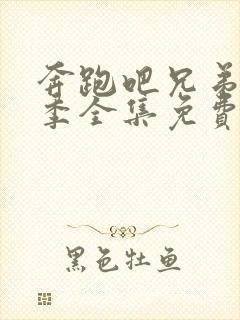 奔跑吧兄弟第3季全集免费