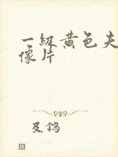 一级黄色夫妻录像片封面