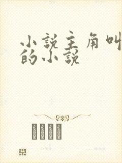 小说主角叫王宣的小说