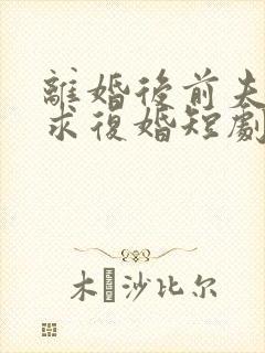 离婚后前夫日日求复婚短剧