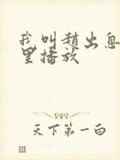 我叫赵出息在哪里播放