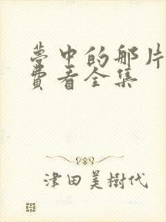 梦中的那片海免费看全集