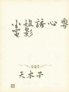 小姐诱心粤语版电影封面