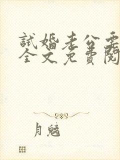 试婚老公要给力全文免费阅读