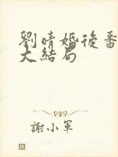 刘晴婚后番外篇大结局