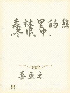 森林里的熊先生,冬眠中.