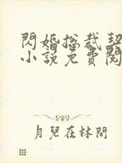 闪婚总裁契约妻小说免费阅读全文封面