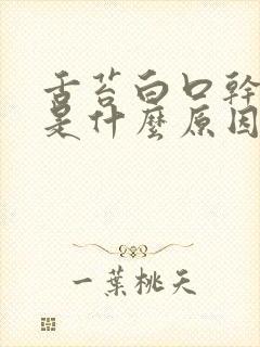 舌苔白口干口苦是什么原因