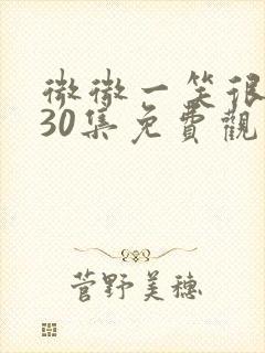 微微一笑很倾城30集免费观看下载