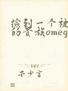 捡到一个被抹布的贵族omega