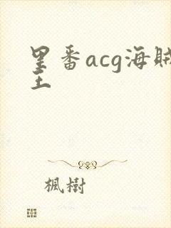 里番acg海贼王封面