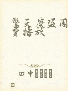 惊天魔盗团2免费播放