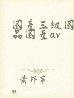 国产三级国产精品国产av