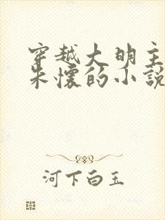 穿越大明主角叫朱怀的小说