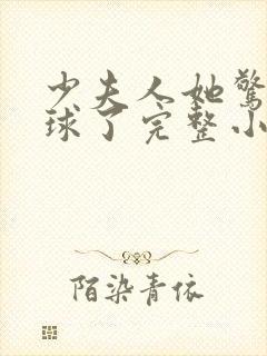 少夫人她惊艳全球了完整小说