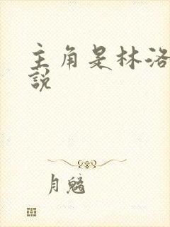 主角是林洛的小说封面