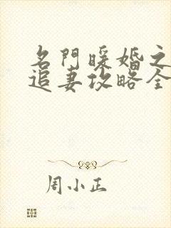 名门暖婚之权爷追妻攻略全文免费阅读封面