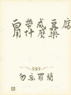 白带成豆腐渣状用什么药