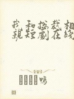 我和总裁相了个亲短剧在线观看