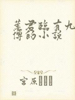 叶君临有九个师傅的小说