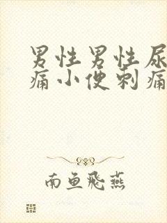 男性男性尿道疼痛小便刺痛