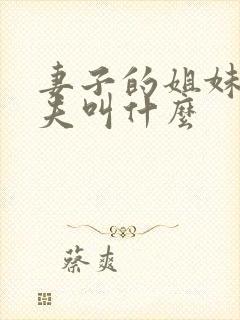 妻子的姐妹的丈夫叫什么