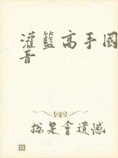 灌篮高手国语配音