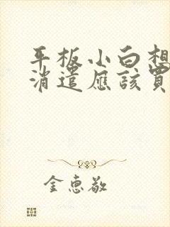 平板小白想画画消遣应该买哪个好