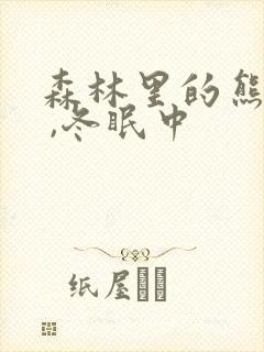 森林里的熊先生 ,冬眠中