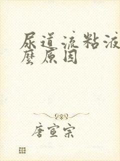 尿道流粘液是什么原因封面