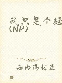 我只是个经纪人(NP)