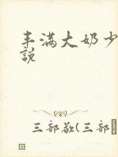 丰满大奶少妇小说