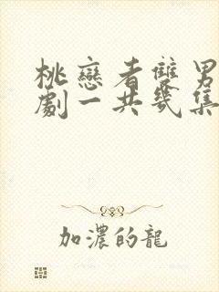 桃恋者双男主泰剧一共几集