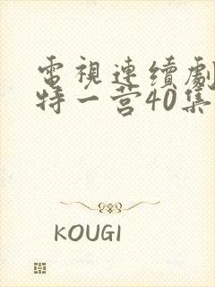 电视连续剧我的特一营40集