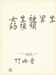 女生被男生操爽的视频封面