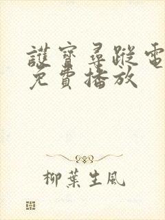 护宝寻踪电视剧免费播放封面