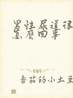 男性尿道很疼是怎么回事